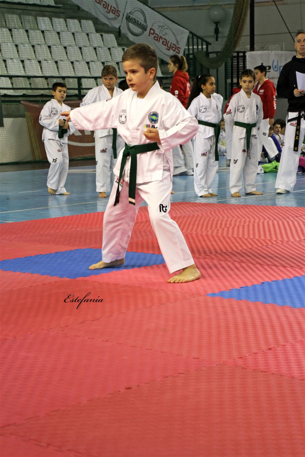 Taekwondo (57).jpg